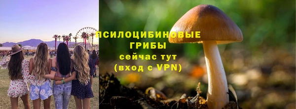 ALPHA-PVP Володарск
