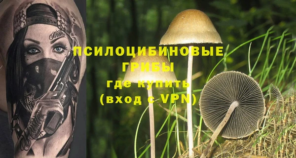 дживик Волоколамск