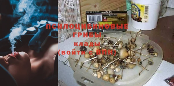 дживик Волоколамск