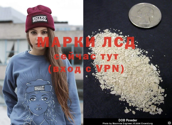 PSILOCYBIN Волосово