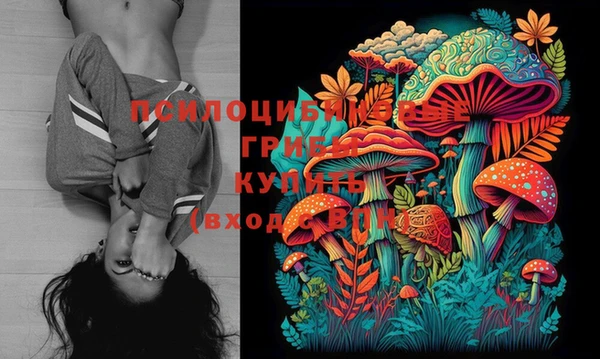 PSILOCYBIN Волосово