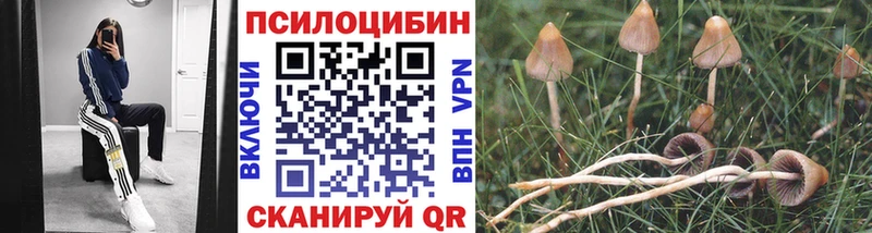 где найти наркотики Канаш Псилоцибиновые грибы Magic Shrooms